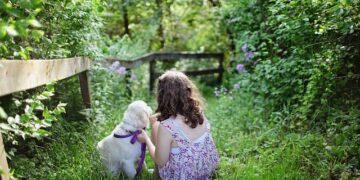 Pet-Friendly Garden